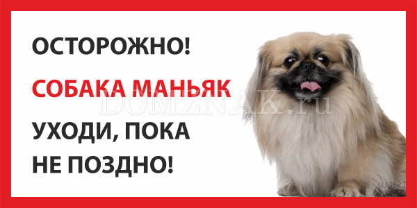 Уходи пока не поздно. Смешные таблички злая собака. Осторожно злая собака табличка Рассел. Железная табличка собака.