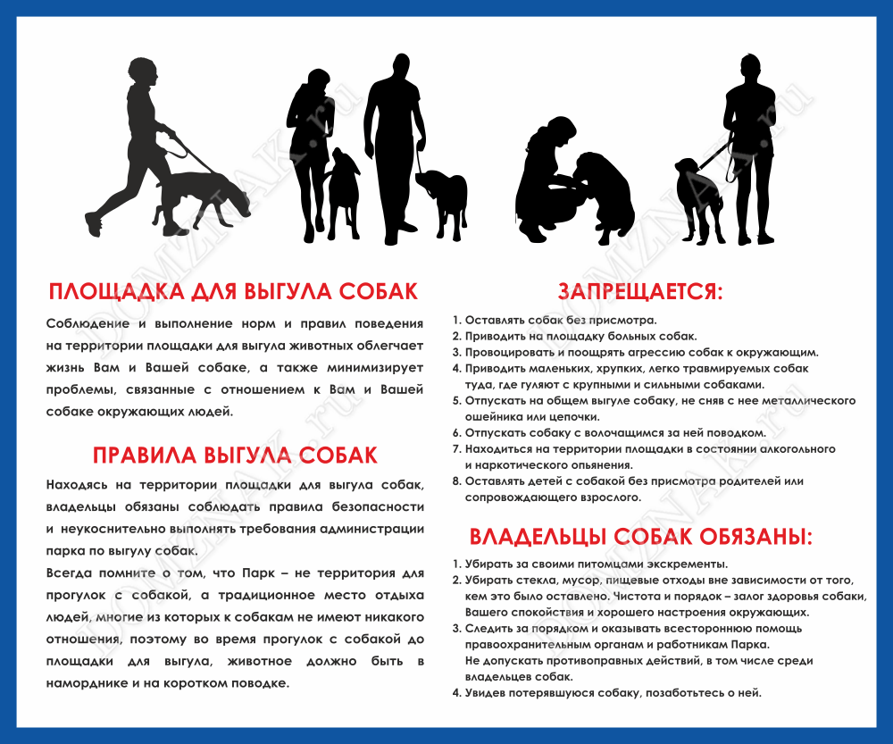 Правило собак в общественном месте